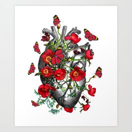 Human heart anatomy with beautiful butterflies and red anemones, floral art of human heart illustration Art Print