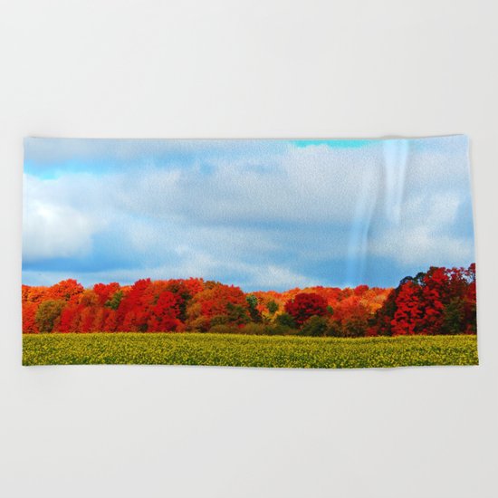 Light hits the Trees Beyond Beach Towel