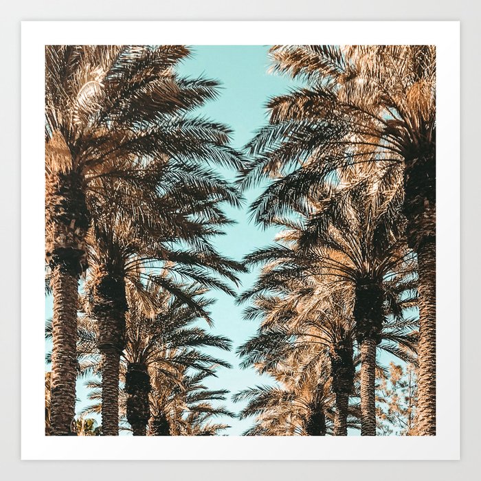 {1 of 2} Palm Tree Canopy // Tropical Summer Beach Teal Shaded Sky Art Print