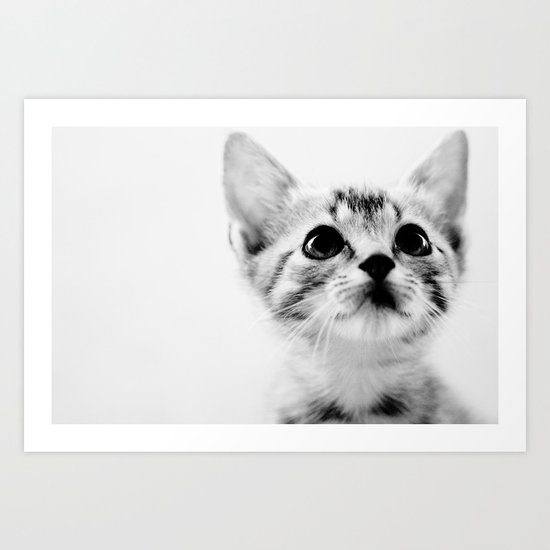 Sweet Kitten Art Print