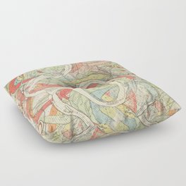 Meander Maps of the Mississippi River Floor Pillow