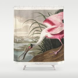 American White Pelican from Birds of America (1827) by John James Audubon Shower Curtain