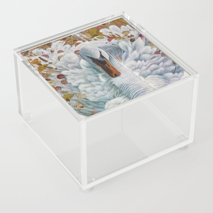 Swan Acrylic Box
