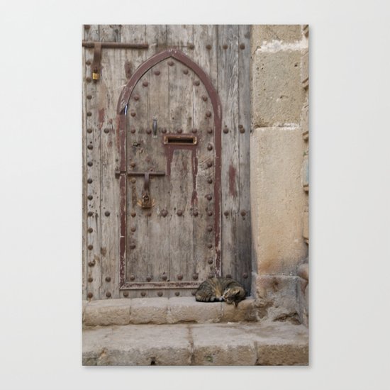 Marrakesh Cats V Canvas Print