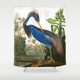 John James Audubon - Louisiana Heron Shower Curtain