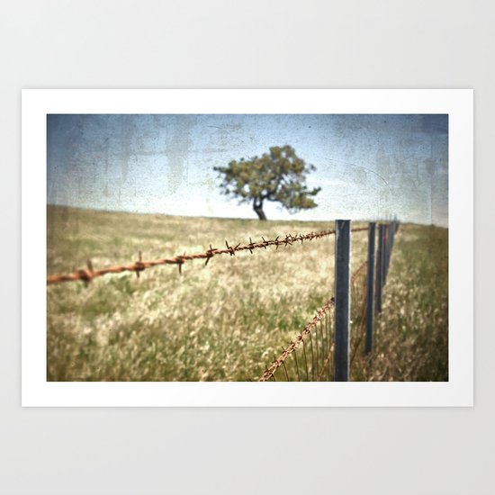 Tree Behind Fence Art Print