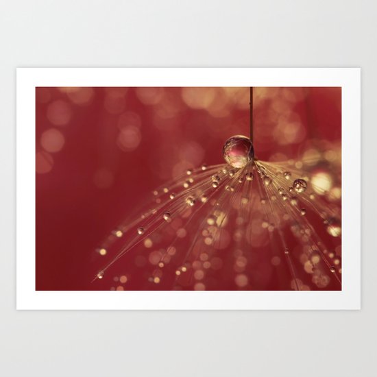 Raspberry Shower Art Print