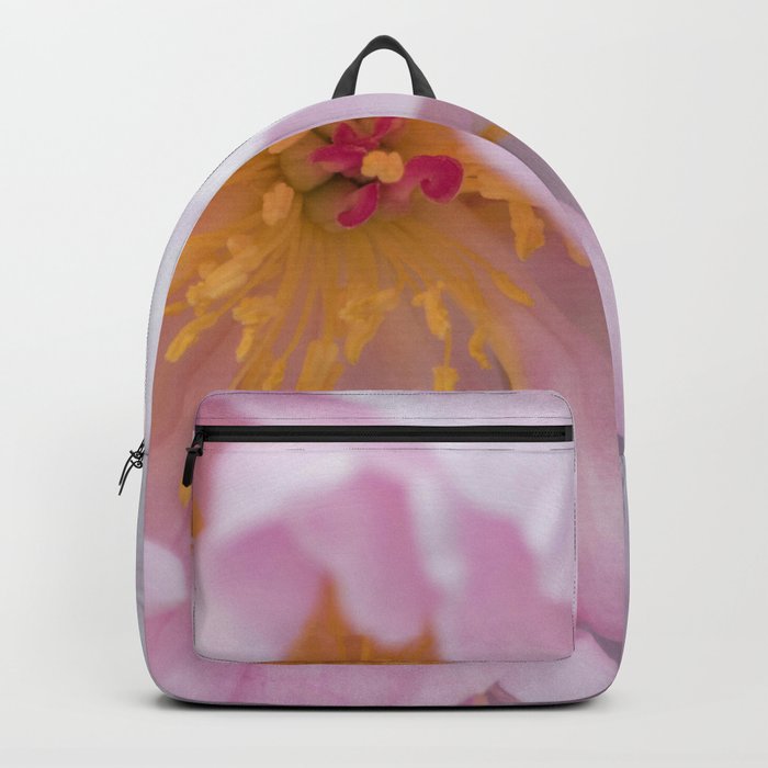 Pink Confection Backpack