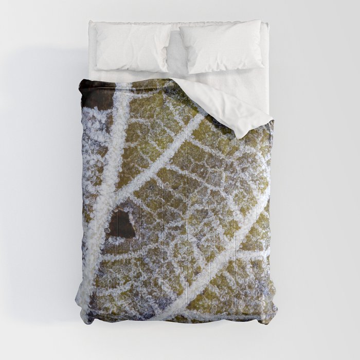 frosty texture Comforter