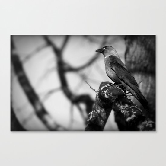 There you are! Canvas Print