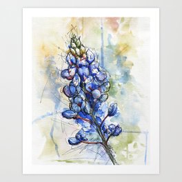 Spring Watercolor Texas Bluebonnet Flowers Art Print
