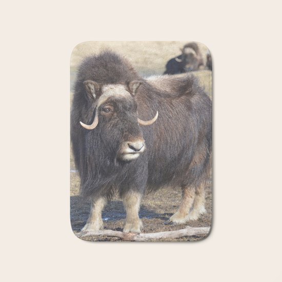 Arctic Muskox Bath Mat