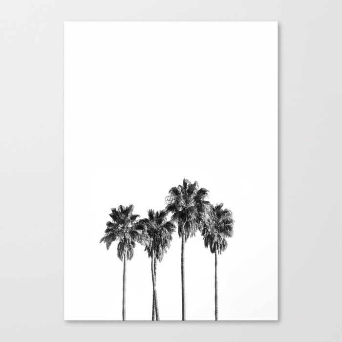 Palm trees 3 Canvas Print