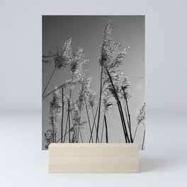 Black and white wetland | Common reeds under the sun Mini Art Print