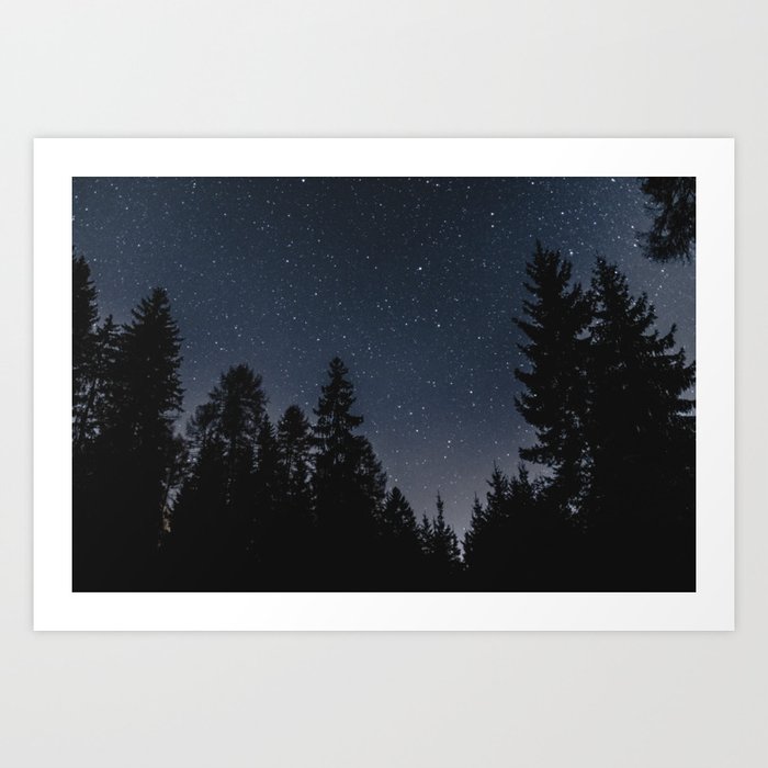 Star Night in the Woods | Nature and Landscape Photography Art Print