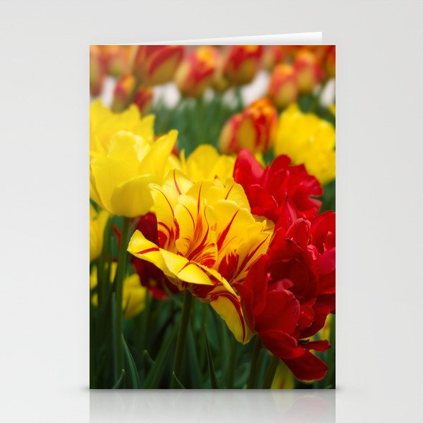 Tulips 1 Stationery Cards