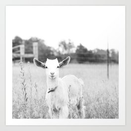 Angelic Baby Goat B&W Art Print