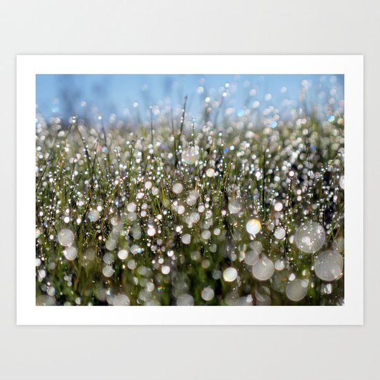Winter Magic Art Print