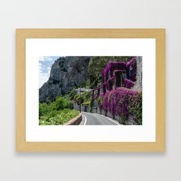 Capri (2018) Framed Art Print