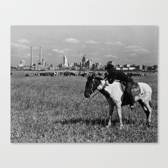 Cowboy Watching Over A Herd Of Cattle - Dallas Texas 1945 Canvas Print