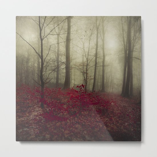 Hidden Place Metal Print