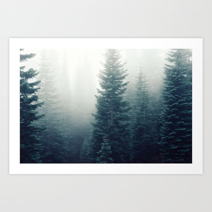 Forest and Fog Art Print