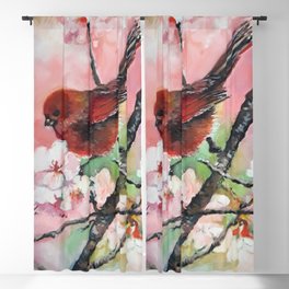 Red Summer Tanager on pink cherry blossom Blackout Curtain