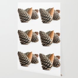 Pine Cone Wallpaper For Any Decor Style Society6