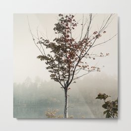 Standing Out Metal Print | Tree, Redleaves, Standingout, Nature, Leaves, Twig, Greenery, Foggy, Uppermichigan, Scheibe 