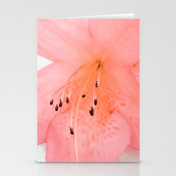 Pink Azalea 2 Stationery Cards