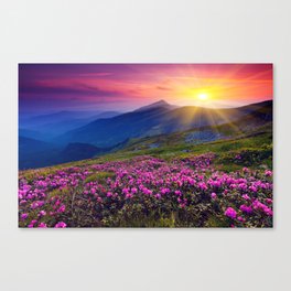 Beautiful Sunset Over the Mountains Canvas Print