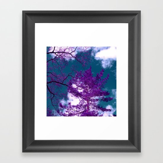 purple fir-tree II Framed Art Print