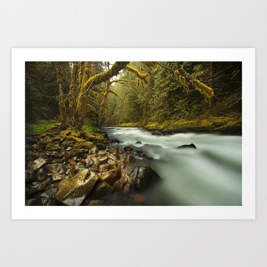 Brook Art Print