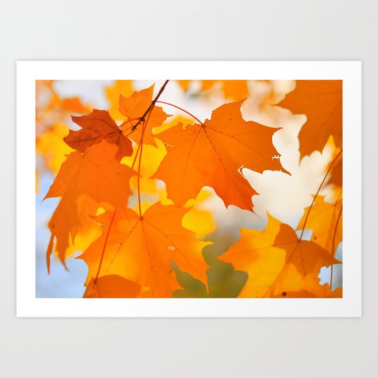 Yellow-orange Autumn Art Print