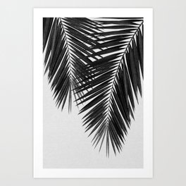 Palm Leaf Black & White II Art Print