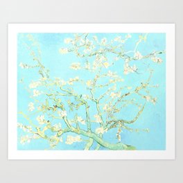 Vincent Van Gogh : almond blossoms Aqua Blue Art Print