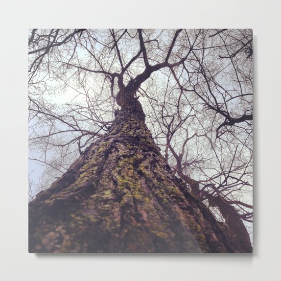 Tree of life Metal Print