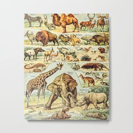 Mammifers Vintage Illustration by Adolphe Millot Zebra Rhino Camel Buffalo Ant Eater Deer Safari Metal Print