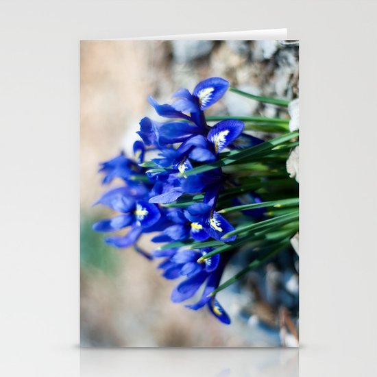 Iris Watercolor Stationery Cards
