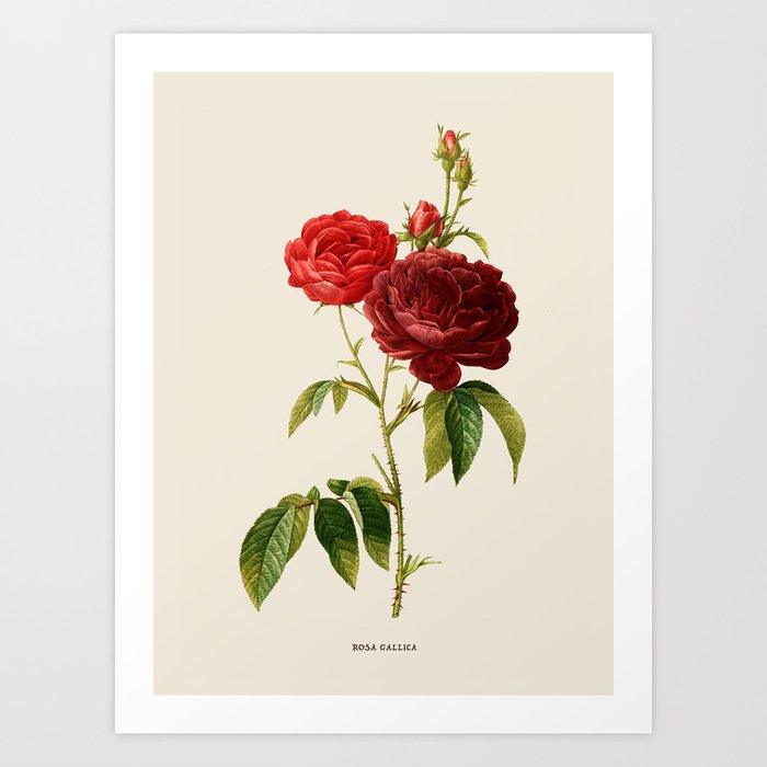 Art Print