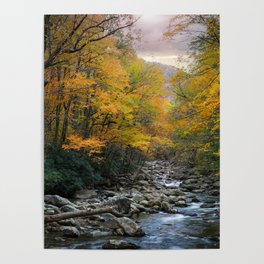 Little Pigeon River Autumn Smoky Mountains Poster