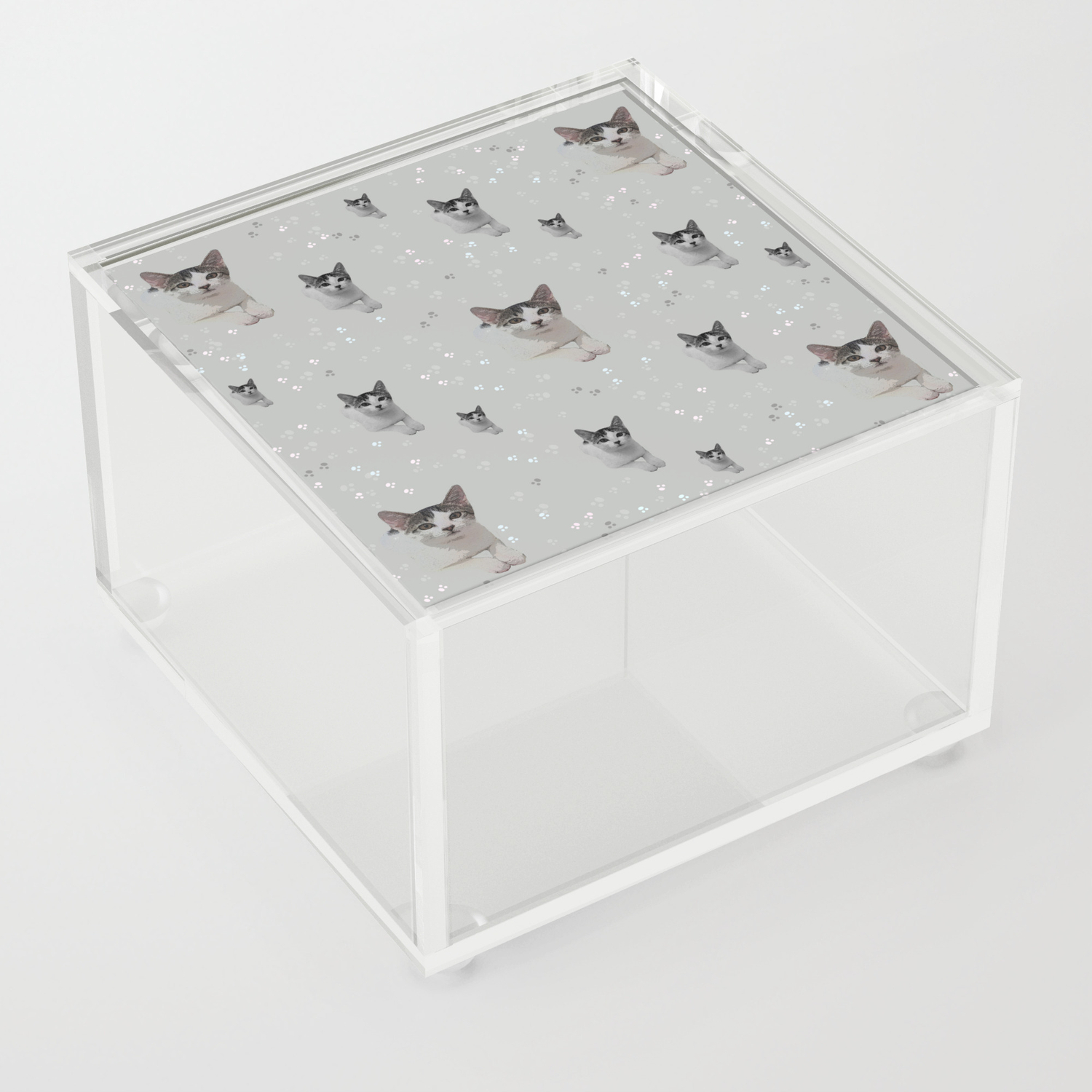 Cats Pattern Cats Pattern Children Pet Feline Animals