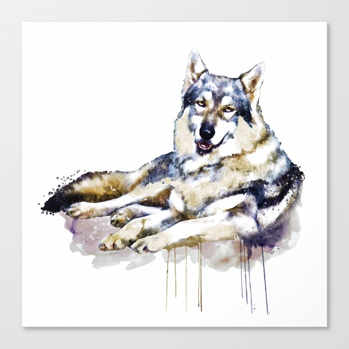 Smiling Wolf Canvas Print
