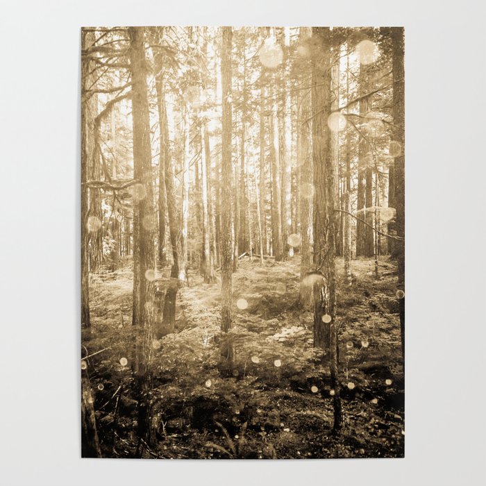 Vintage Sepia Fairy Forest Poster