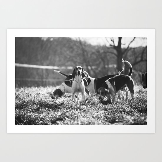 Foxhound Art Print