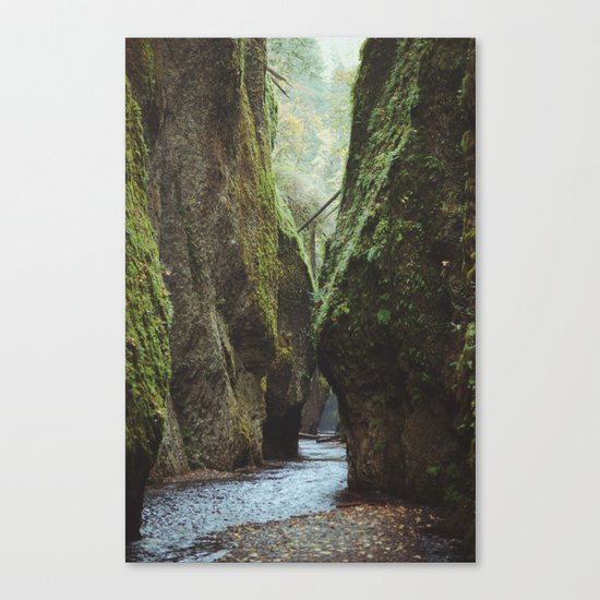 Oneonta Gorge Canvas Print