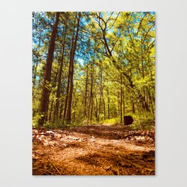 Forest Trail Canvas Print