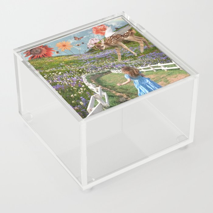 Cottage Core Fairytale Acrylic Box