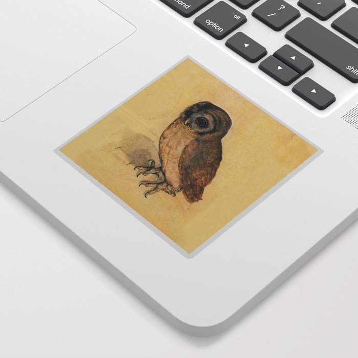Albrecht Durer The Little Owl Sticker