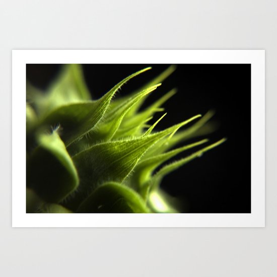 New Life Art Print